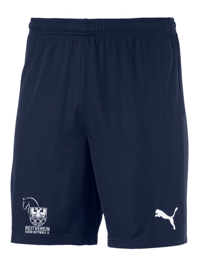 PUMA teamGOAL 23 Knit Shorts