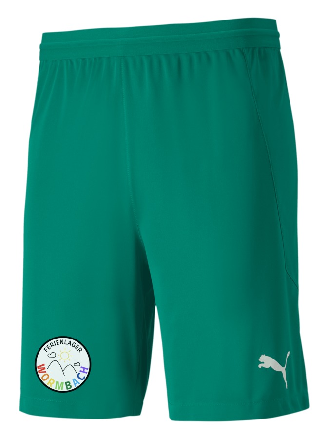 PUMA teamFINAL 21 Knit Shorts