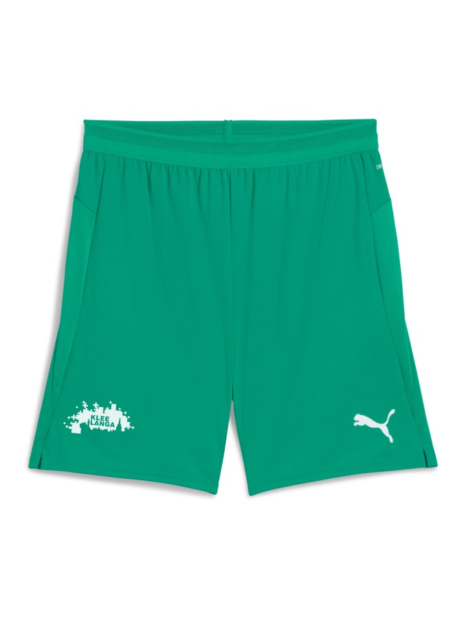 PUMA teamCUP Shorts