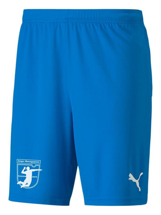 PUMA teamGOAL 23 Knit Shorts