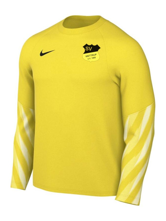 Nike Dri-FIT Park V Torwart Trikot Langarm