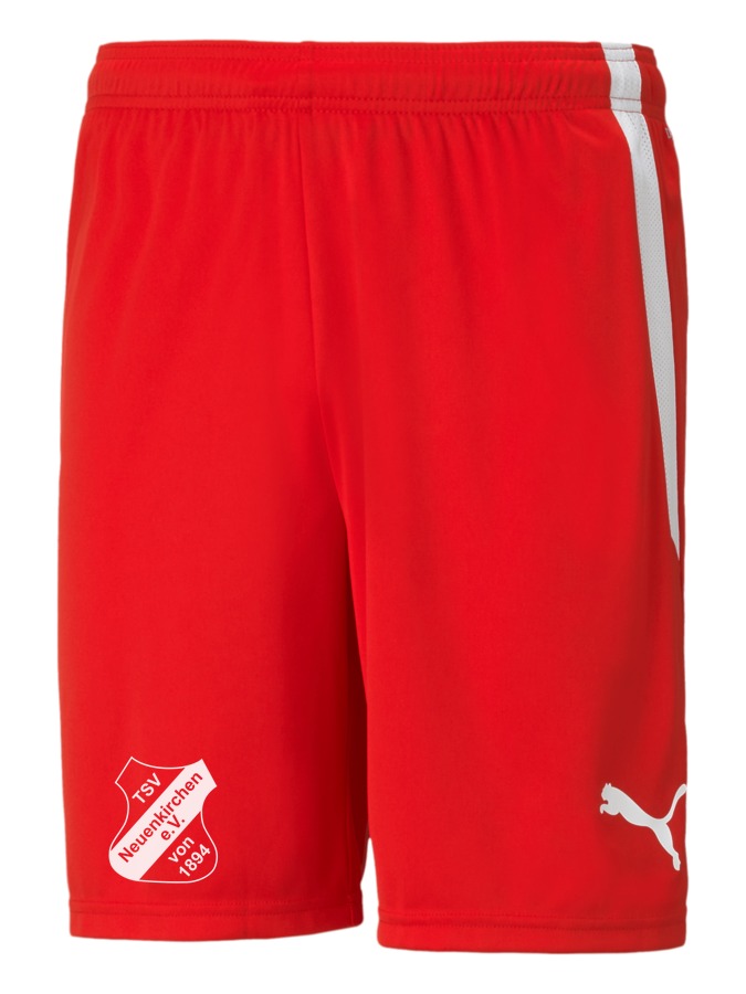 PUMA teamLIGA Shorts