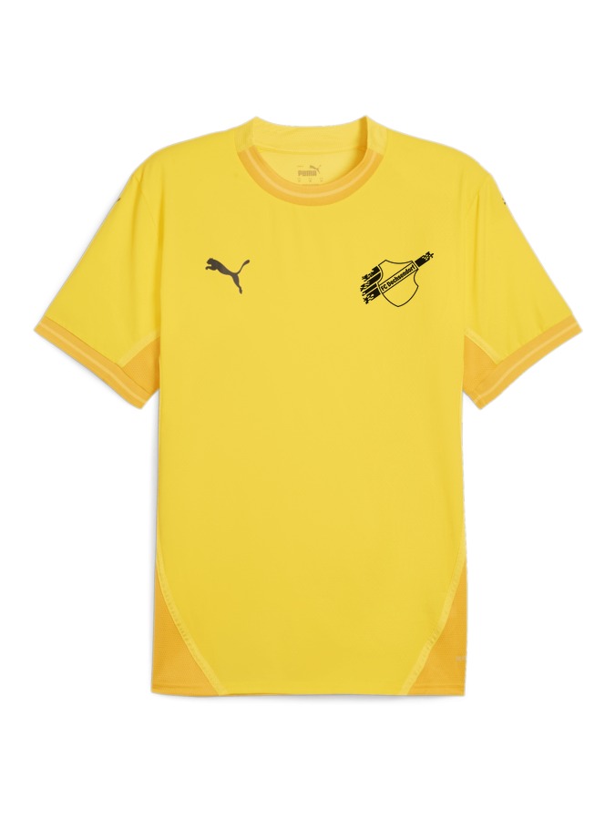 PUMA teamFINAL Trikot
