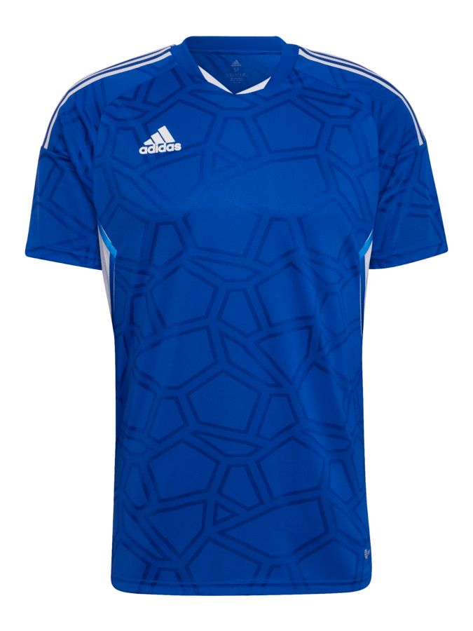 adidas Condivo 22 Matchday Trikot MTV Hesedorf