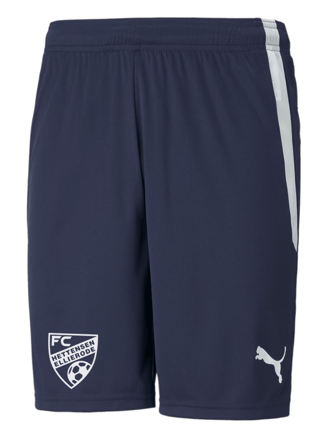 PUMA teamLIGA Shorts