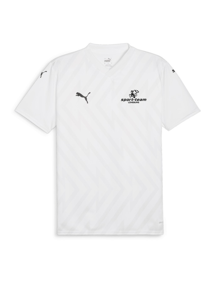 PUMA teamGLORY Trikot