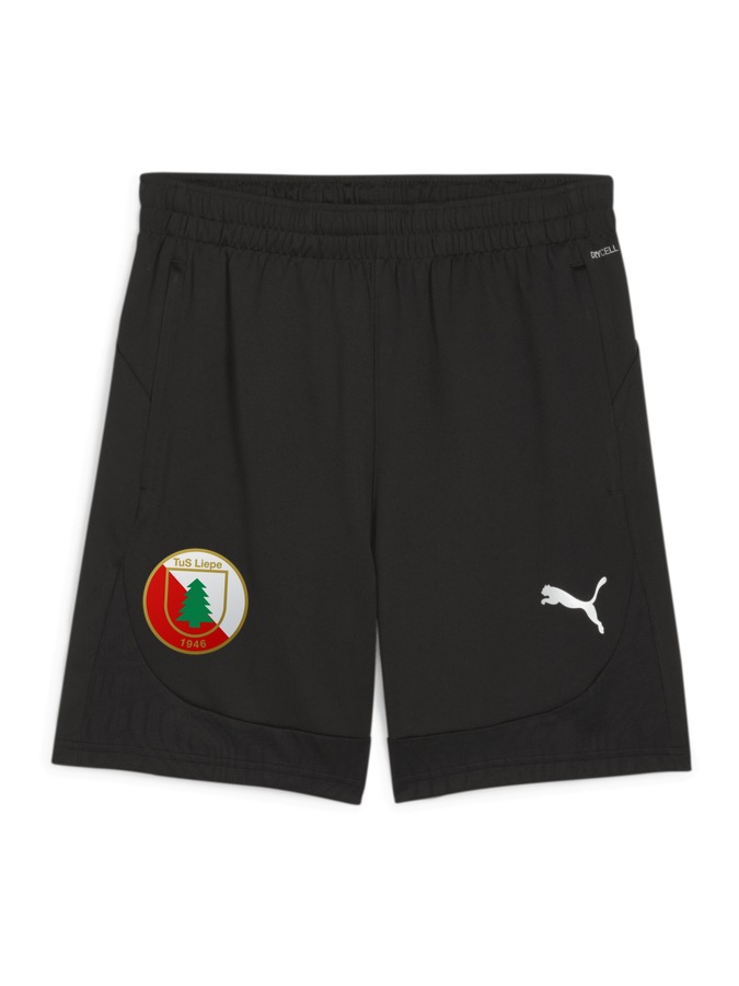 PUMA teamFINAL Training Shorts