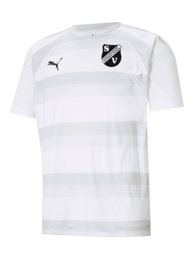 PUMA teamVISION Trikot