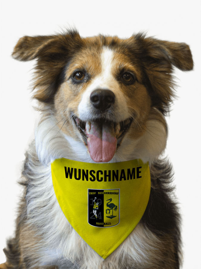 Hundehalstuch