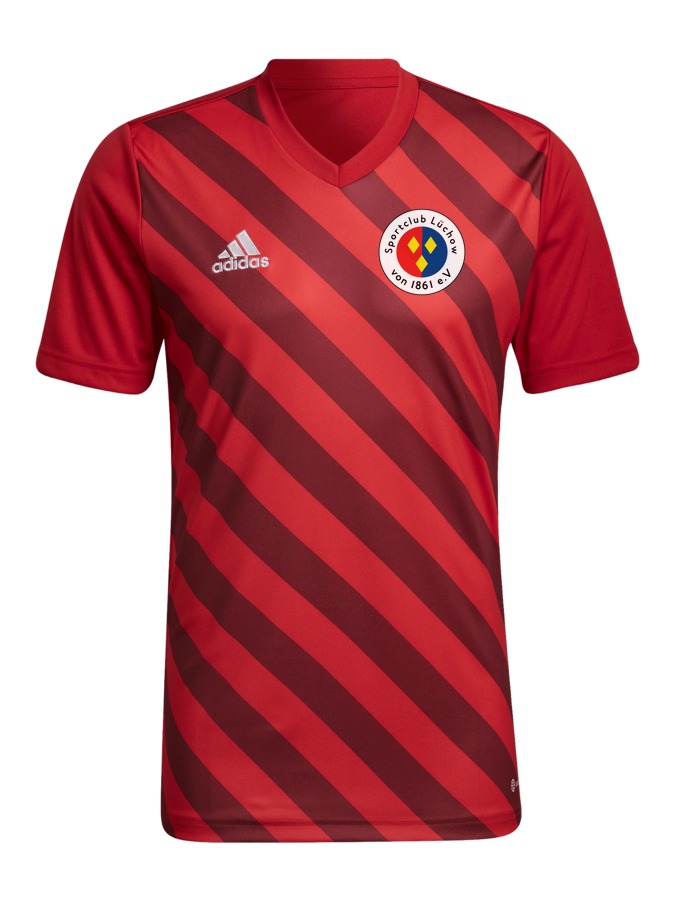 adidas Entrada 22 GFX Trikot
