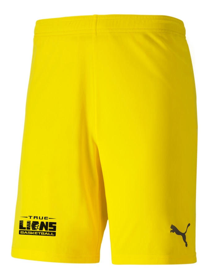 PUMA teamGOAL 23 Knit Shorts
