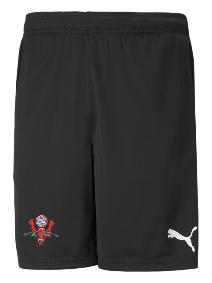PUMA teamRISE Training Shorts