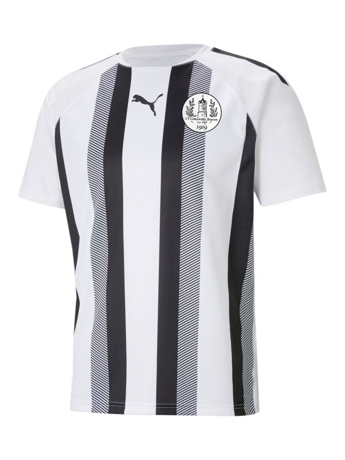 PUMA teamLIGA Striped Trikot
