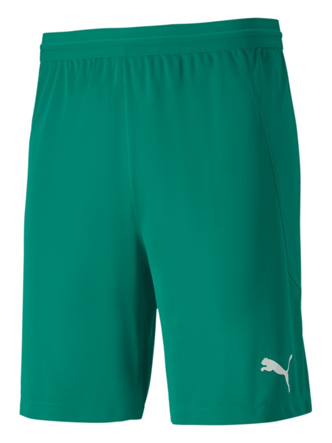 PUMA teamFINAL 21 Knit Shorts
