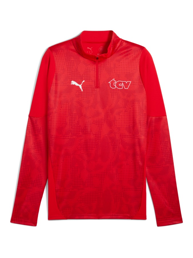 PUMA teamCUP Training 1/4-Zip-Top