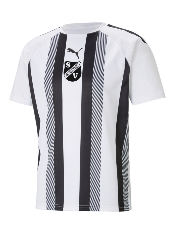PUMA teamLIGA Striped Trikot