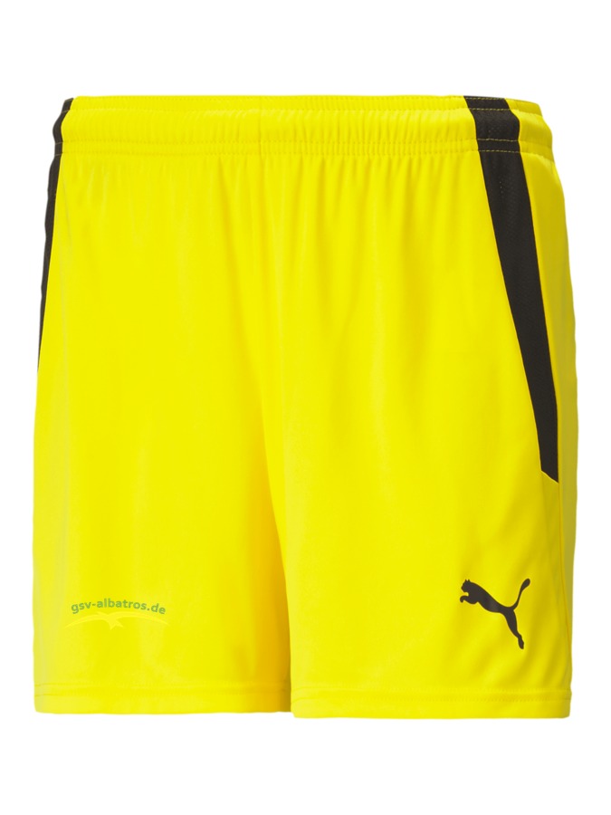 PUMA teamLIGA Shorts Damen
