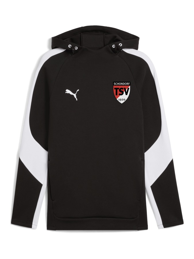 PUMA teamEVOSTRIPE Hoody