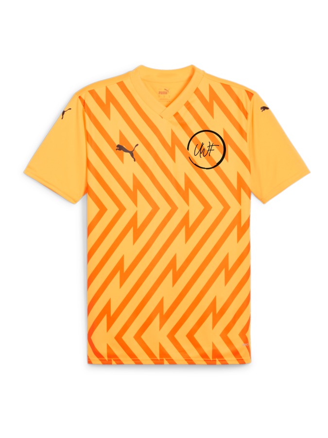 PUMA teamGLORY Trikot