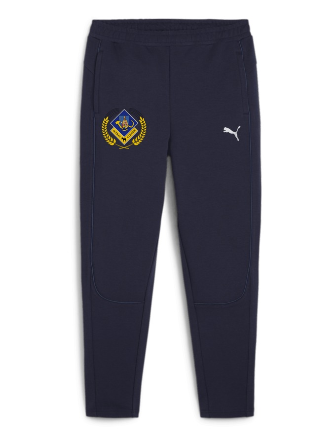 PUMA teamFINAL Casuals Hose Damen