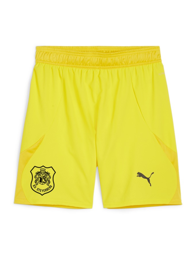 PUMA teamFINAL Shorts