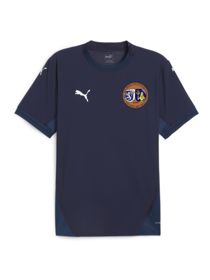 PUMA teamFINAL Trikot