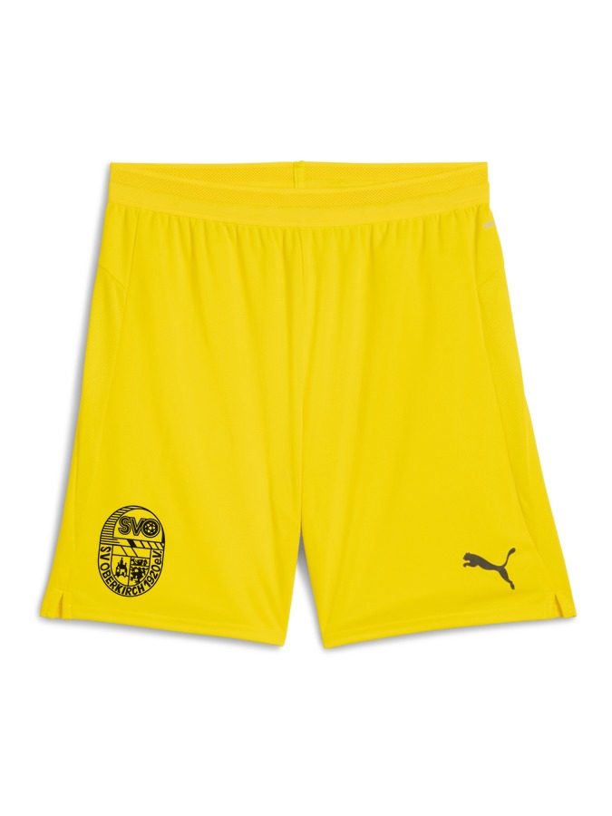 PUMA teamCUP Shorts