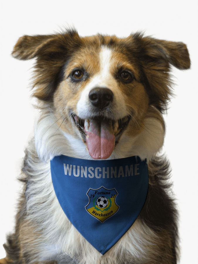 Hundehalstuch