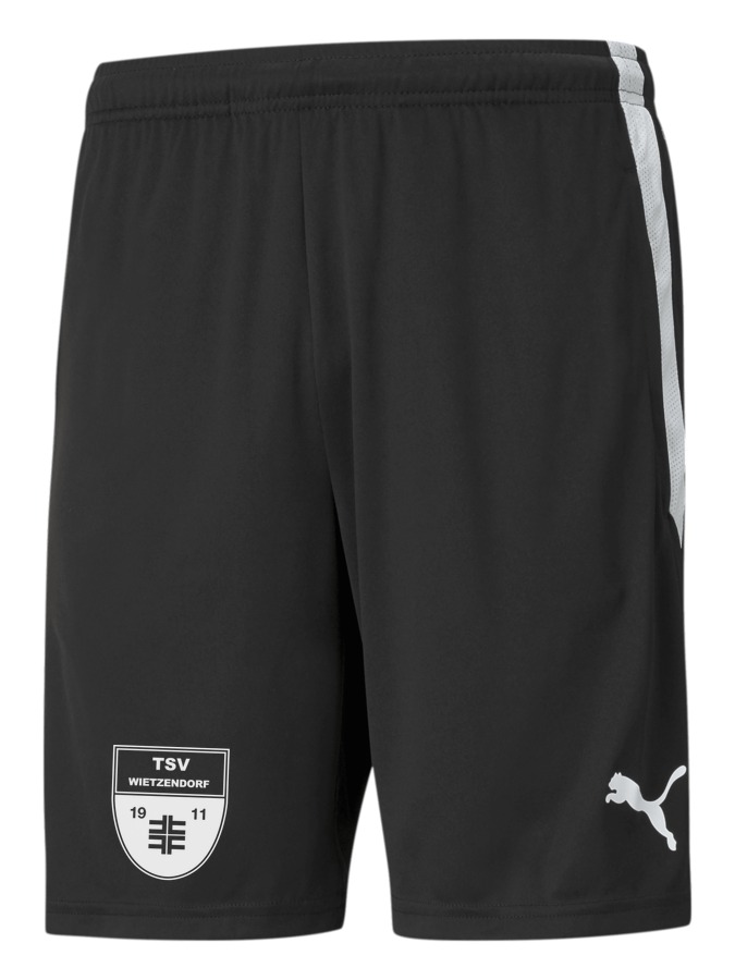 PUMA teamLIGA Training Shorts