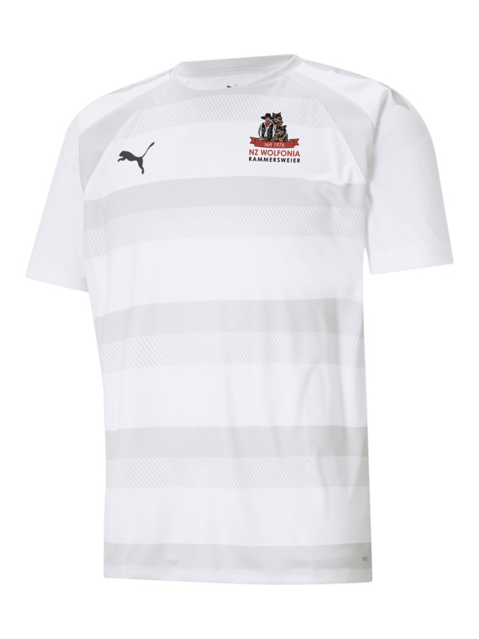 PUMA teamVISION Trikot