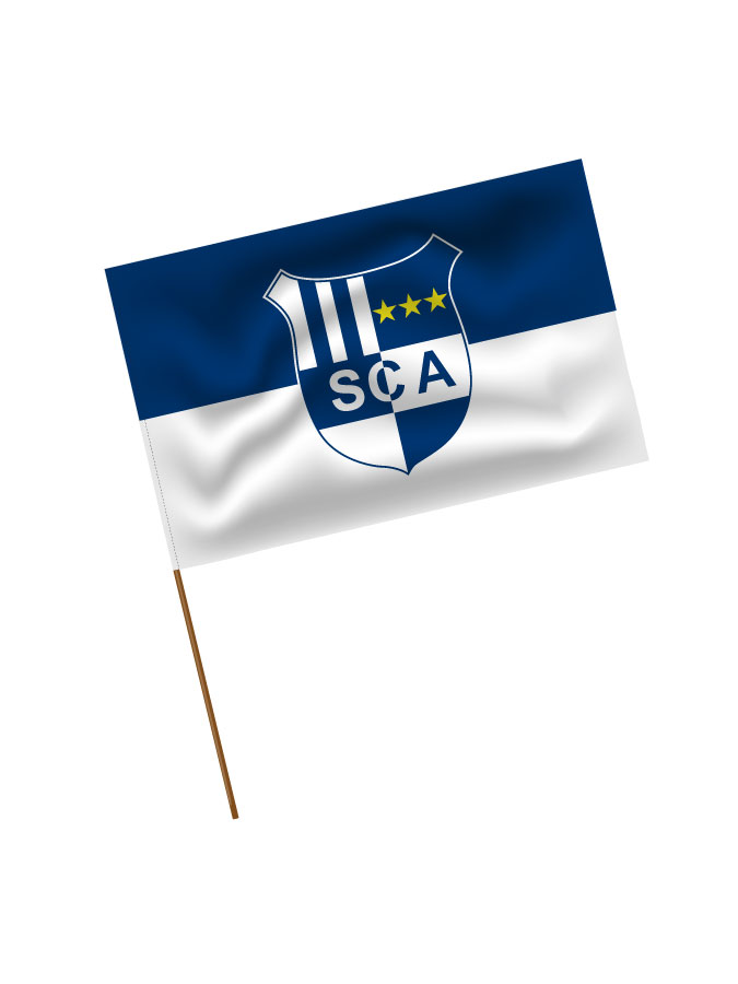 Stadionfahne Logo