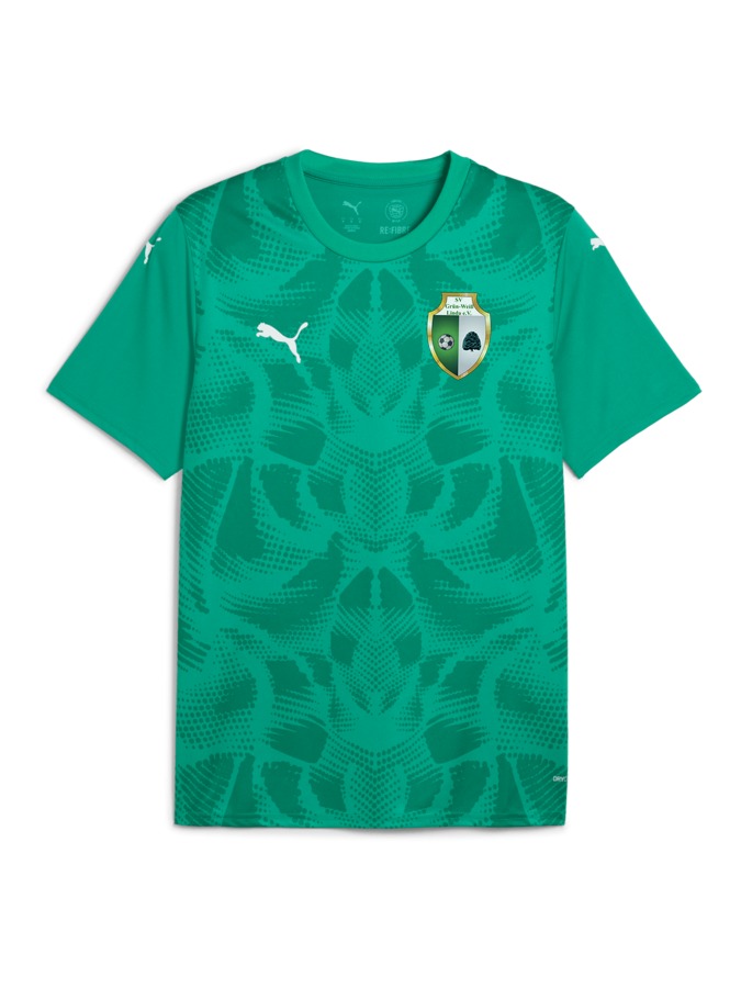PUMA teamULTIMATE Trikot