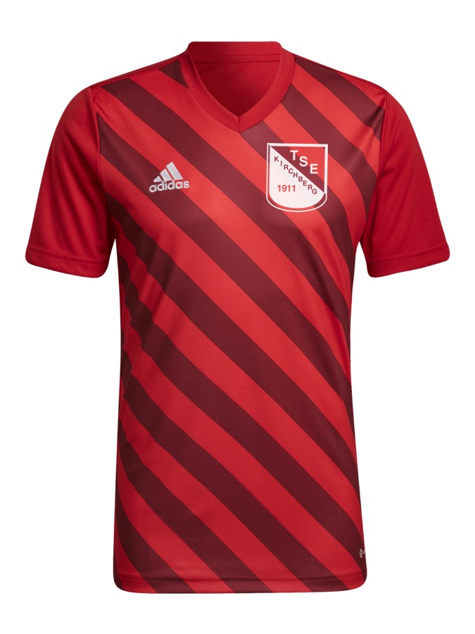 adidas Entrada 22 GFX Trikot