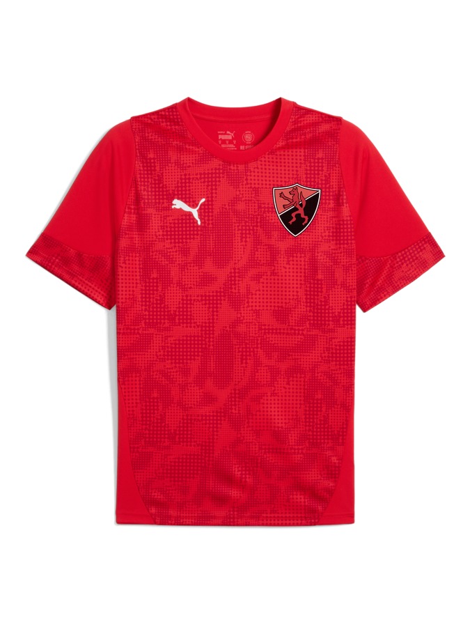 PUMA teamCUP Trainingsshirt