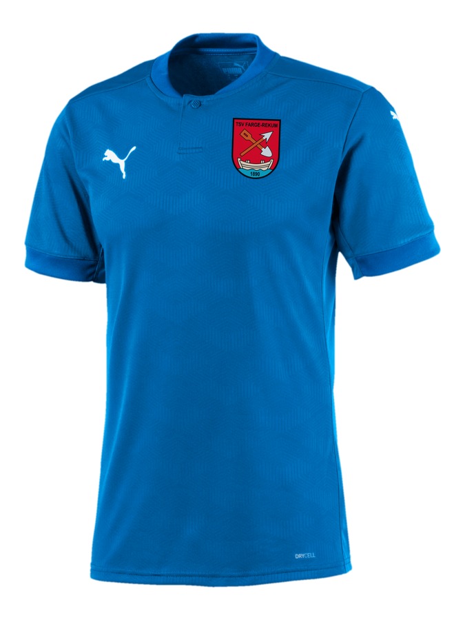 PUMA teamFINAL 21 Trikot