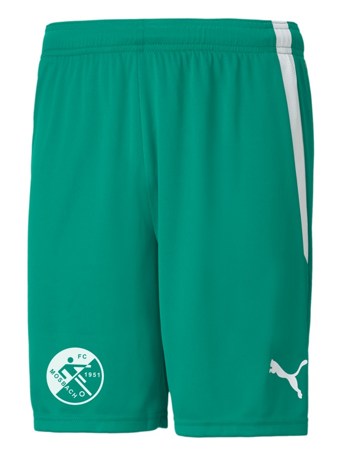 PUMA teamLIGA Shorts
