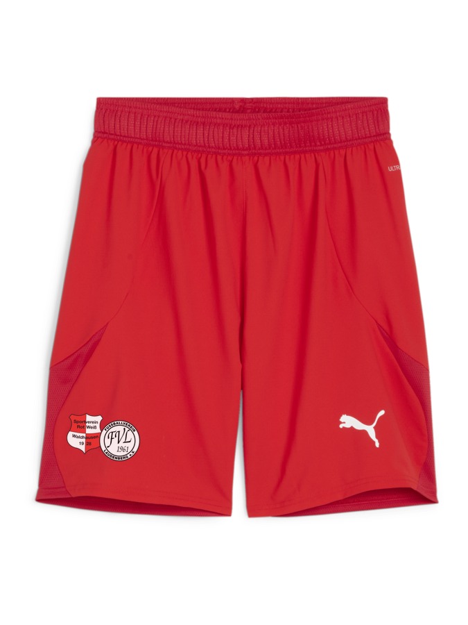 PUMA teamFINAL Shorts