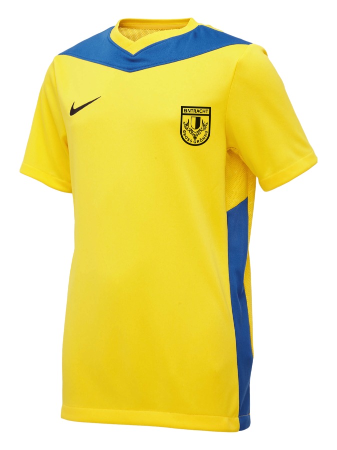 Nike Park Derby IV Trikot Kinder