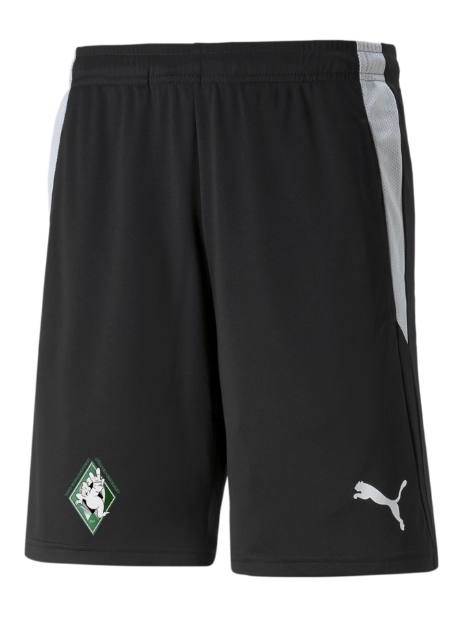 PUMA teamLIGA Referee Shorts
