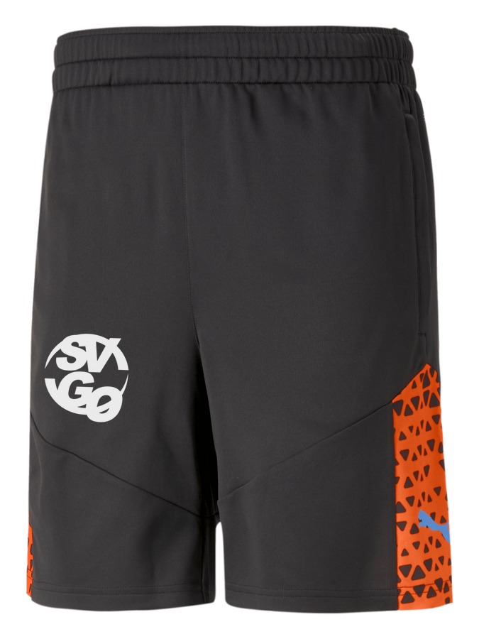PUMA individualCUP Training Shorts