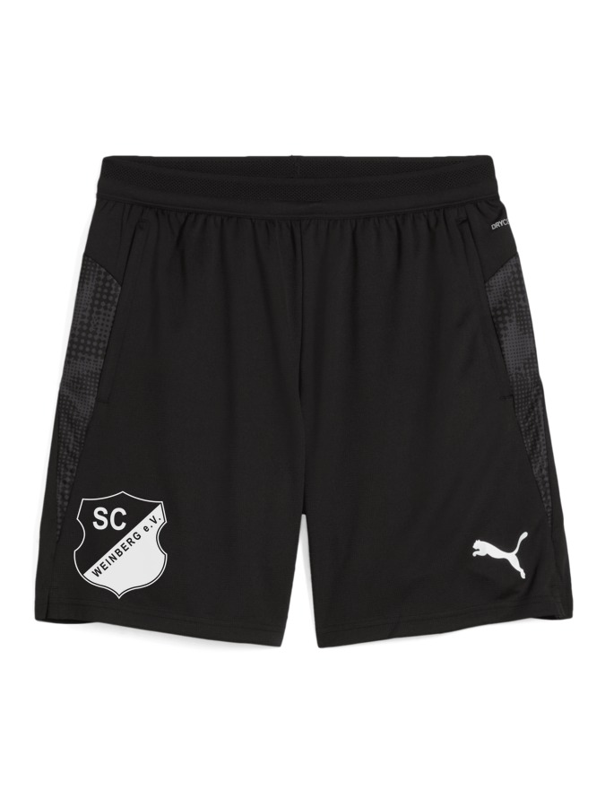 PUMA teamCUP Training Shorts