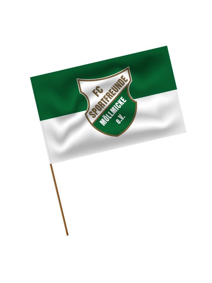 Stadionfahne Logo