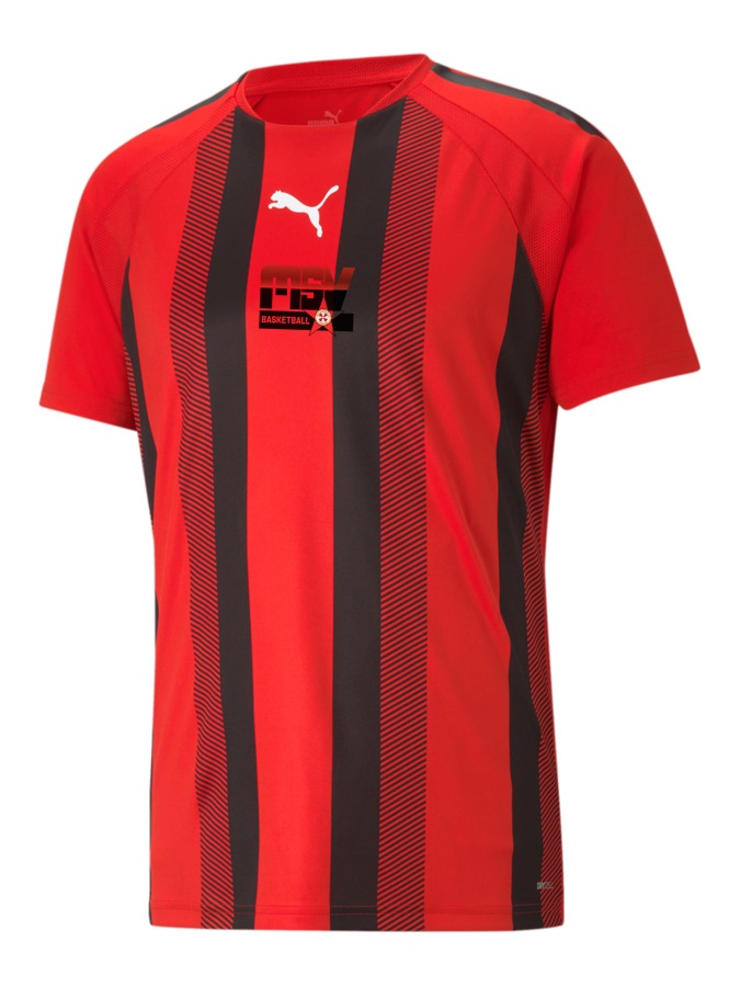 PUMA teamLIGA Striped Trikot