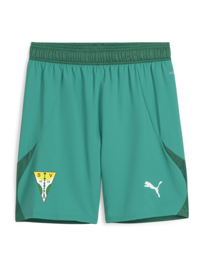 PUMA teamFINAL Shorts