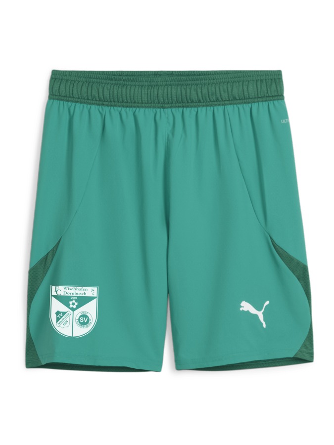 PUMA teamFINAL Shorts