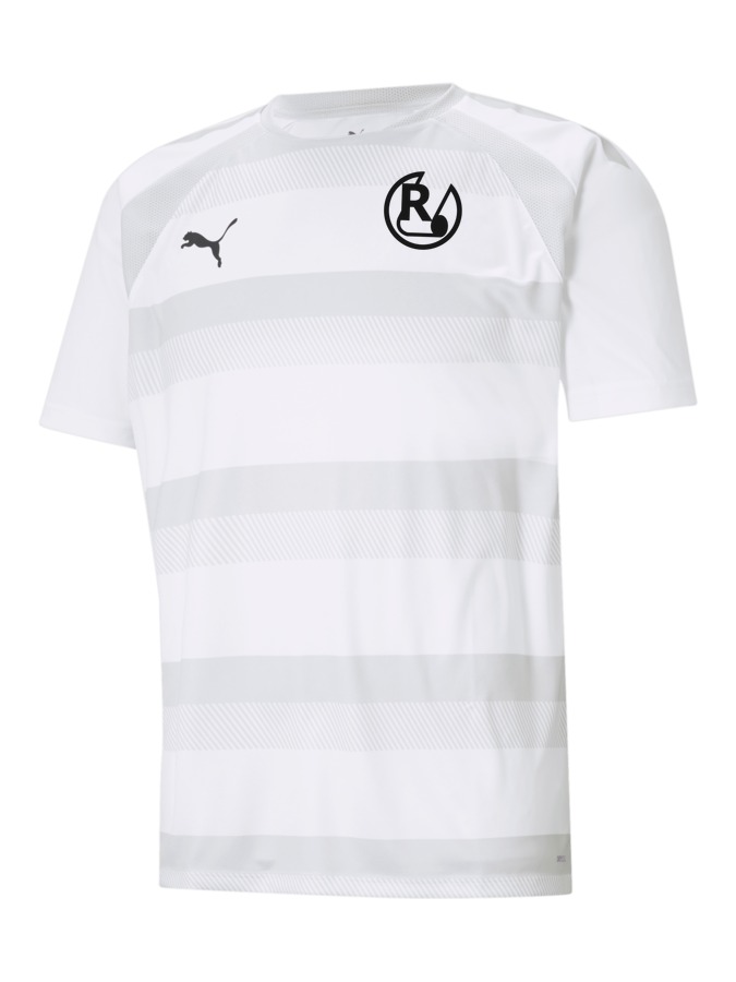 PUMA teamVISION Trikot