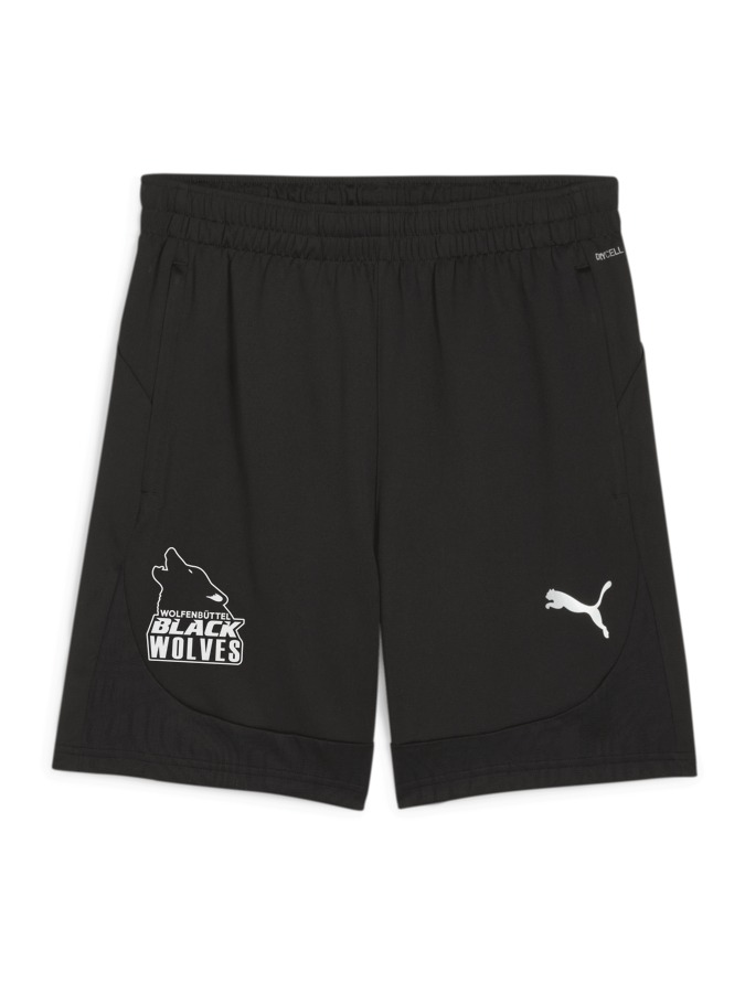 PUMA teamFINAL Training Shorts