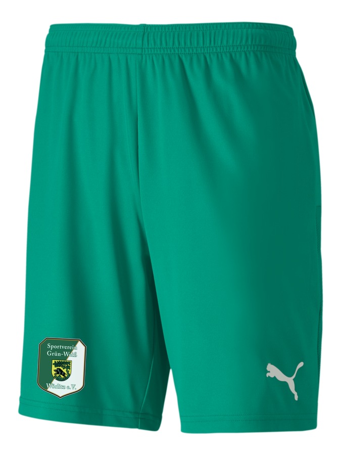 PUMA teamGOAL 23 Knit Shorts