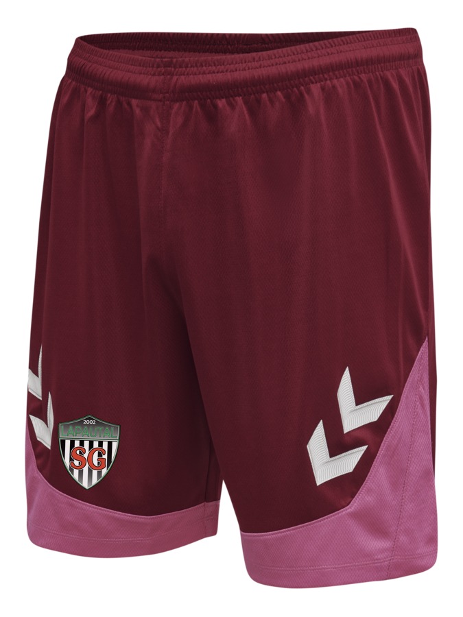 Hummel Lead Trainingsshorts