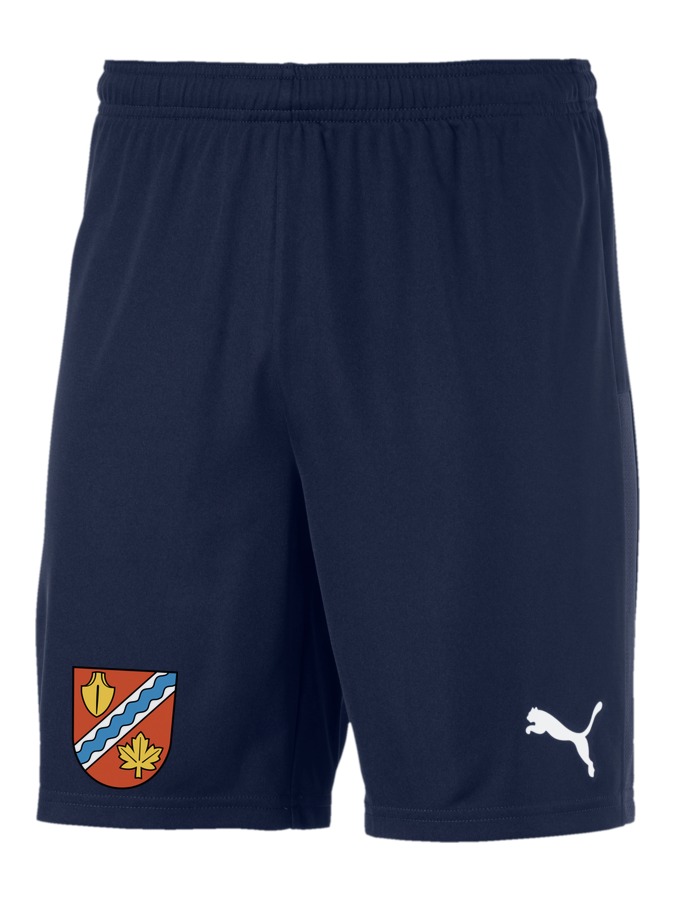 PUMA teamGOAL 23 Knit Shorts